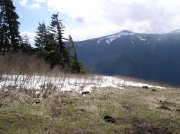 3.24.06 Dog Mountain 040 